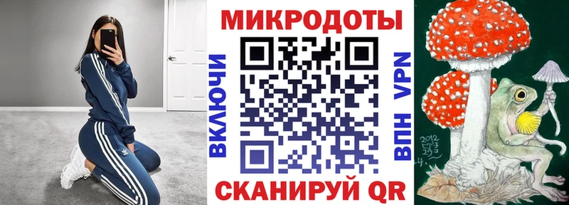где можно купить   Сертолово  Псилоцибиновые грибы мухоморы 